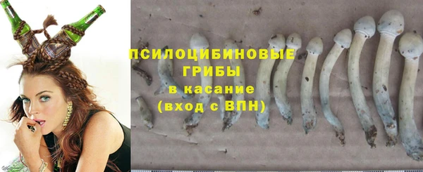 дурь Козловка