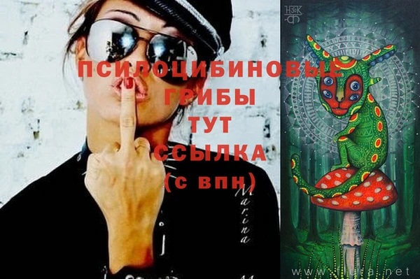 дурь Козловка