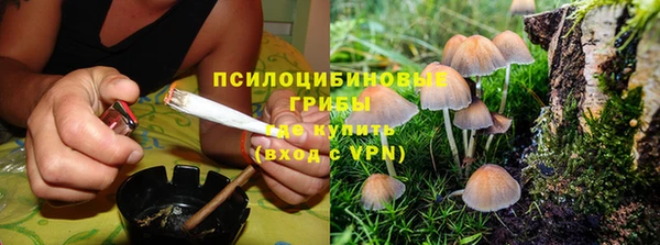 дурь Козловка