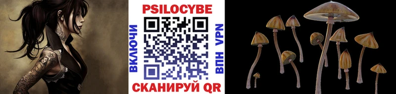 Галлюциногенные грибы мухоморы  Котовск 